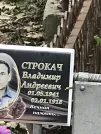 Захоронение ID 1272506