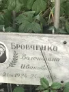 Захоронение ID 1272515