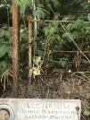 Захоронение ID 1272562
