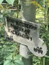 Захоронение ID 1273028