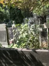 Захоронение ID 1273091