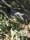 Захоронение ID 1273098