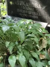 Захоронение ID 1273128
