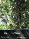 Захоронение ID 1273130