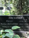 Захоронение ID 1273132