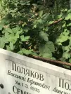 Захоронение ID 1273139