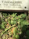 Захоронение ID 1273149