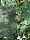 Захоронение ID 1273163