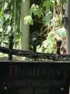 Захоронение ID 1273246