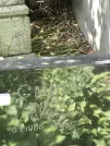 Захоронение ID 1273264