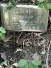 Захоронение ID 1273397