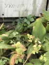 Захоронение ID 1273499