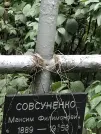 Захоронение ID 1273561