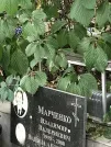 Захоронение ID 1273592