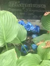 Захоронение ID 1274517