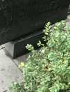 Захоронение ID 1273695