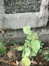 Захоронение ID 1273722