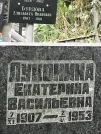 Захоронение ID 1273726