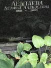 Захоронение ID 1273824