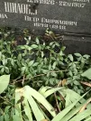 Захоронение ID 1273899