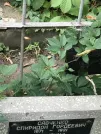 Захоронение ID 1274033