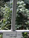 Захоронение ID 1274170