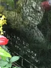 Захоронение ID 1274839