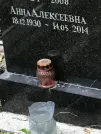 Захоронение ID 1274382