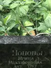 Захоронение ID 1274845