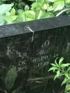 Захоронение ID 1274849