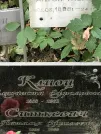 Захоронение ID 1274520