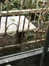 Захоронение ID 1274643