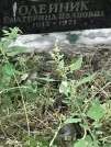 Захоронение ID 1274645