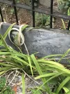 Захоронение ID 1274680