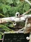 Захоронение ID 1275023