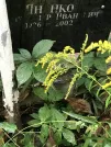 Захоронение ID 1275028
