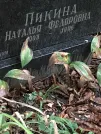 Захоронение ID 1275090