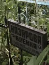Захоронение ID 1275114