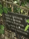 Захоронение ID 1275154