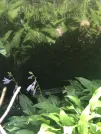 Захоронение ID 1275560