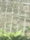 Захоронение ID 1275563