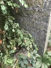 Захоронение ID 1275713