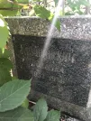 Захоронение ID 1275729