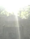 Захоронение ID 1275774