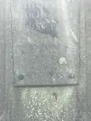 Захоронение ID 1275776
