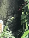 Захоронение ID 1259090