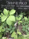 Захоронение ID 1259124