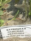 Захоронение ID 1259135