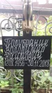 Захоронение ID 1283850