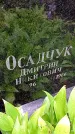 Захоронение ID 1279686